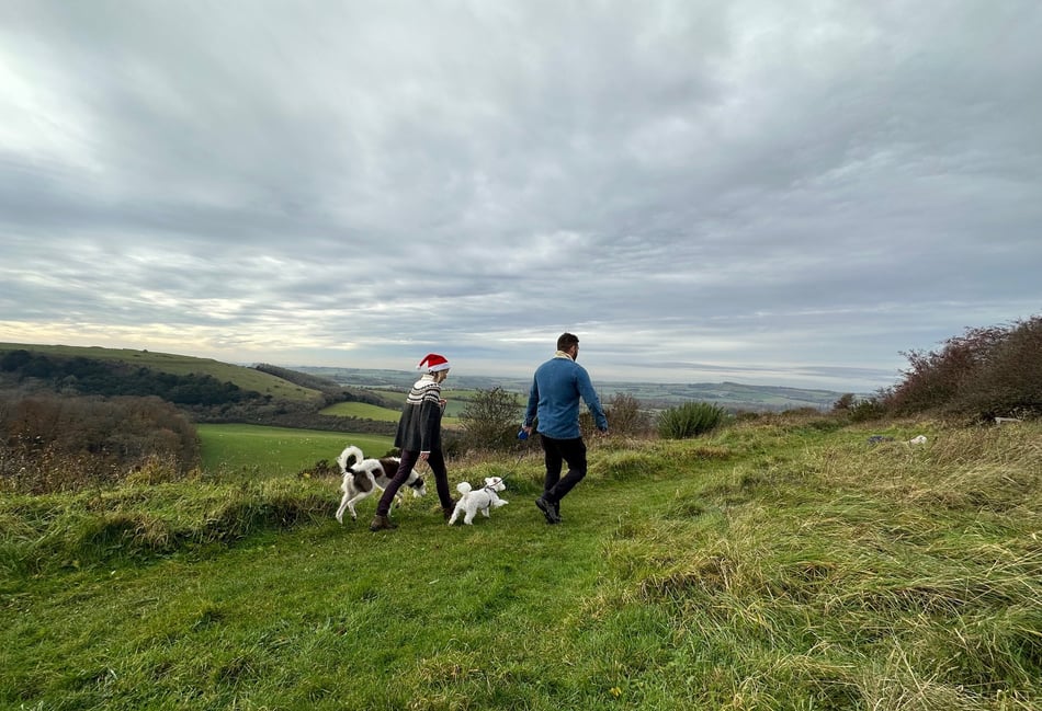 The best festive winter walks to enjoy in the South Downs