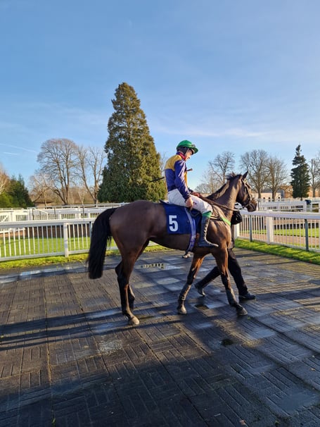 Precious Metal, Lingfield, December 2025.