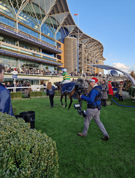 Iroko, December 2025.