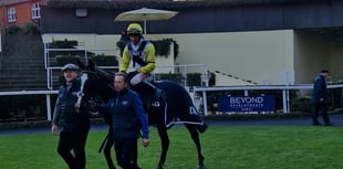Impose Toi wins Long Walk Hurdle at Ascot