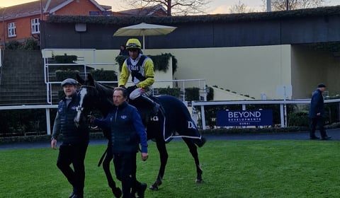 Impose Toi wins Long Walk Hurdle at Ascot