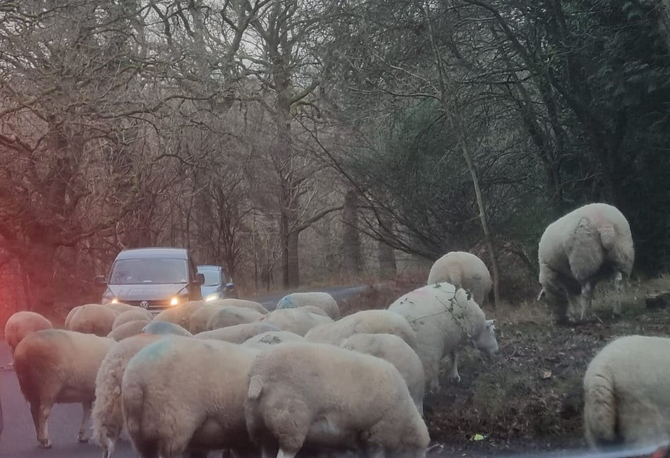 Enjoying family time, one door  closes - and a brilliant hack