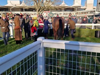 Sandown Park survives early morning inspection on Veterans' Chase Day