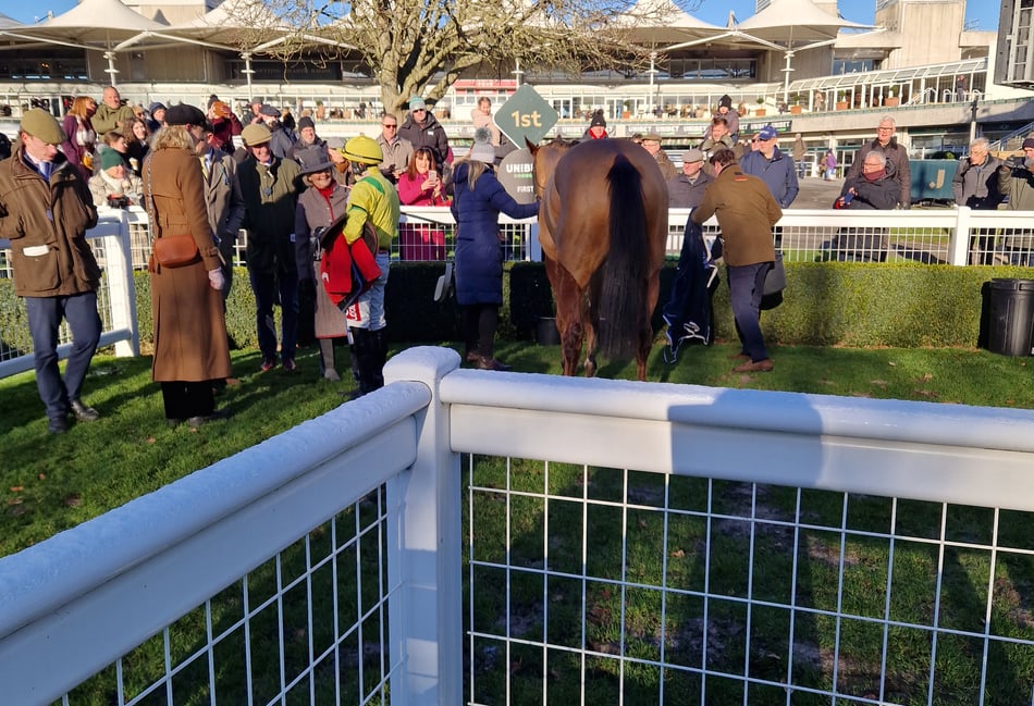 Sandown Park survives early morning inspection on Veterans' Chase Day