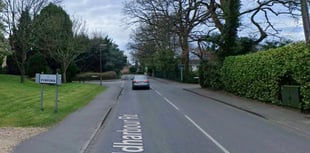 Woking Council's £150k Pyrford parish plan moves forward