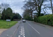 Woking Council's £150k Pyrford parish plan moves forward