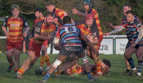 Chobham earn important win against Reeds Weybridge
