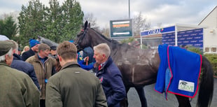 Peter Moore horse racing column: Skelton issues tribute to Langer Dan
