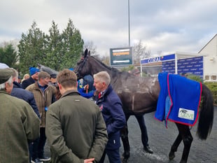 Peter Moore horse racing column: Skelton issues tribute to Langer Dan