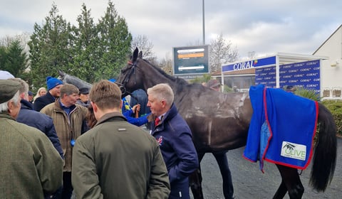 Peter Moore horse racing column: Skelton issues tribute to Langer Dan