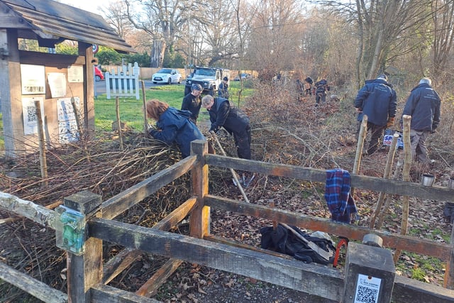 Hedge fun as new boundary laid at nature reserve
