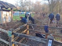 Hedge fun as new boundary laid at nature reserve