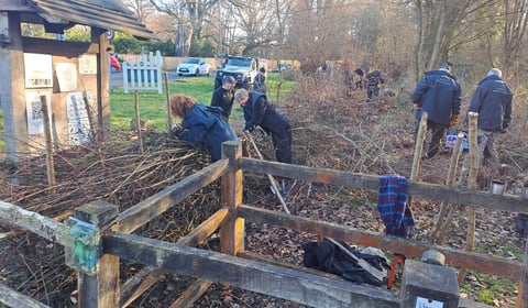 Hedge fun as new boundary laid at nature reserve
