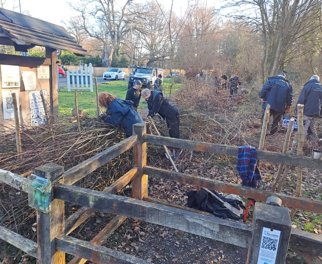 Hedge fun as new boundary laid at nature reserve