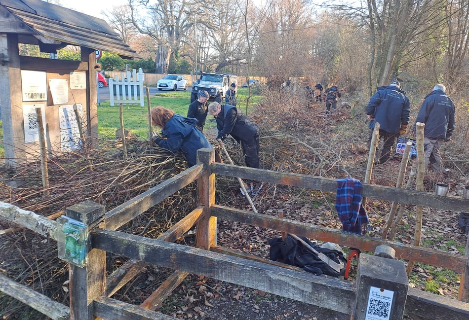 Hedge fun as new boundary laid at nature reserve