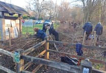 Hedge fun as new boundary laid at nature reserve near Worplesdon
