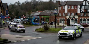 Surrey council plans £100 fines for excessive horn honking