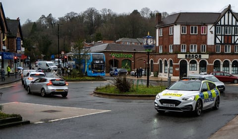 Surrey council plans £100 fines for excessive horn honking