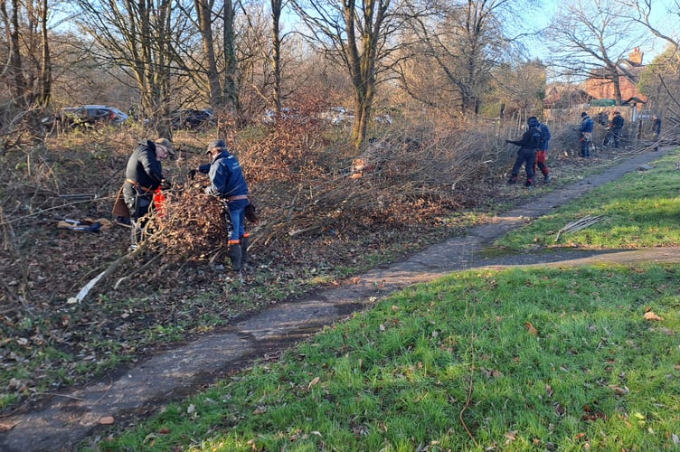 Surrey Hedgelayers Fox Corner