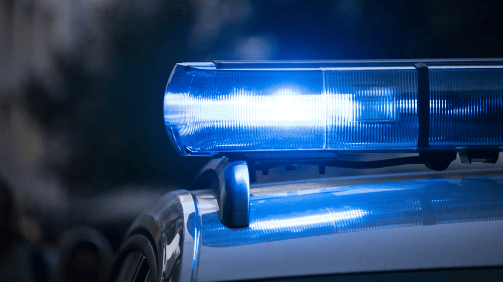 Police appeal after fatal collision in Sutton Green | wokingnewsandmail ...