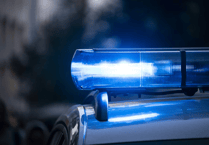 Police appeal after fatal collision in Sutton Green