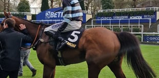 Peter Moore racing column: Cobden appointed McManus' retained rider