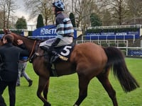 Peter Moore racing column: Cobden appointed McManus' retained rider
