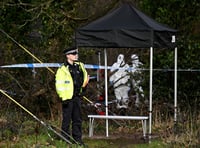 Farnham school pupil, 15, dies in woodland stabbing