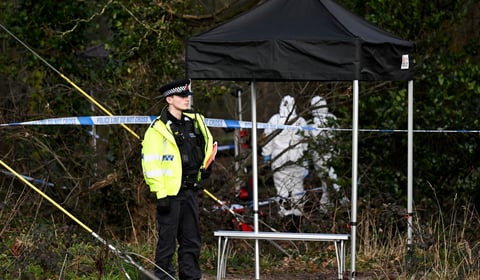 Farnham school pupil, 15, dies in woodland stabbing