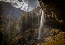 Society begins new year in style with picture perfect show