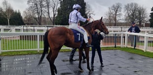 Peter Moore column: Sir Gino suffers fractured pelvis at Cheltenham