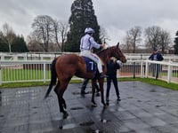 Peter Moore column: Sir Gino suffers fractured pelvis at Cheltenham