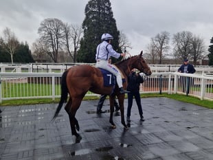 Peter Moore column: Sir Gino suffers fractured pelvis at Cheltenham