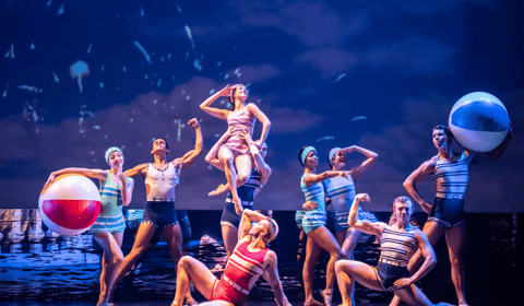 Glimpse into the life of a fictional ballet company