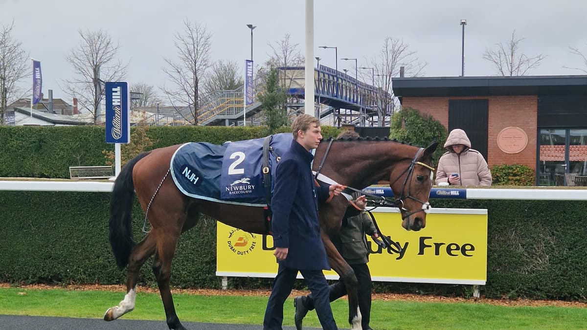 Peter Moore horse racing column: Haiti Couleurs seals impressive Newbury win ahead of Cheltenham Gold Cup