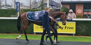 Peter Moore horse racing column: Haiti Couleurs seals Newbury win