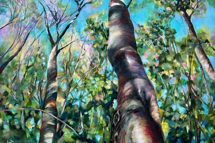 Tracy Aldous: Looking Up