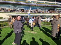 Peter Moore column: Constitution Hill likely to miss out on flat debut