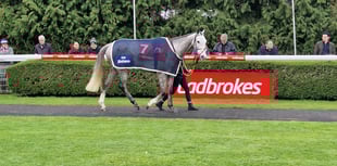 Lookaway wins Ladbrokes Trophy Handicap Chase at Kempton Park