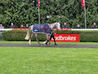 Lookaway wins Ladbrokes Trophy Handicap Chase at Kempton Park