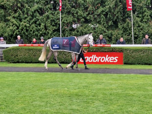 Lookaway wins Ladbrokes Trophy Handicap Chase at Kempton Park