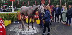 Peter Moore horse racing column: Constitution Hill wins on flat debut