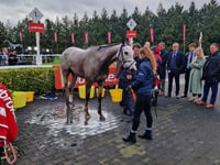 Peter Moore horse racing column: Constitution Hill wins on flat debut