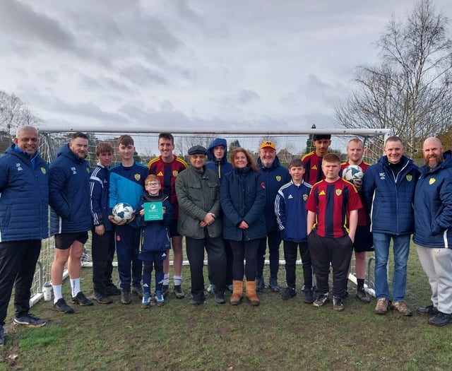 Net gains: how moving the goalposts boosted Wolves