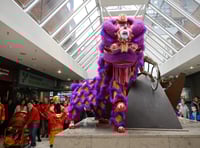 Vibrant start Year of the Fire Horse