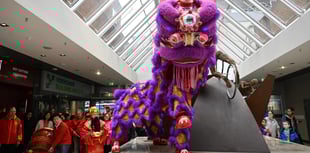 Vibrant start Year of the Fire Horse