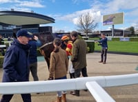 Nicky Henderson confirms Constitution Hill will focus on flat racing