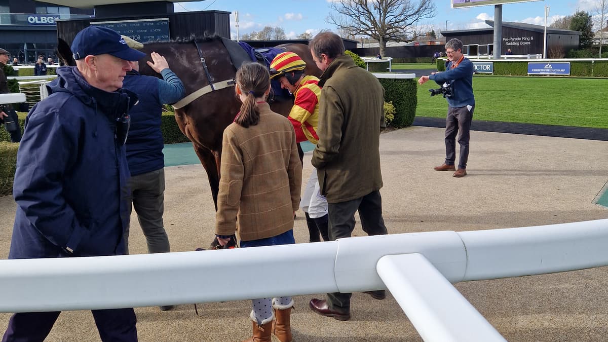 Nicky Henderson confirms Constitution Hill will focus on flat racing ...