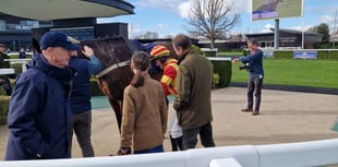 Nicky Henderson confirms Constitution Hill will focus on flat racing