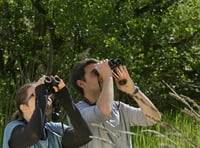 Wild bird survey is a walk in the park